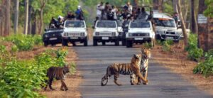 Jim Corbett National Park Tour