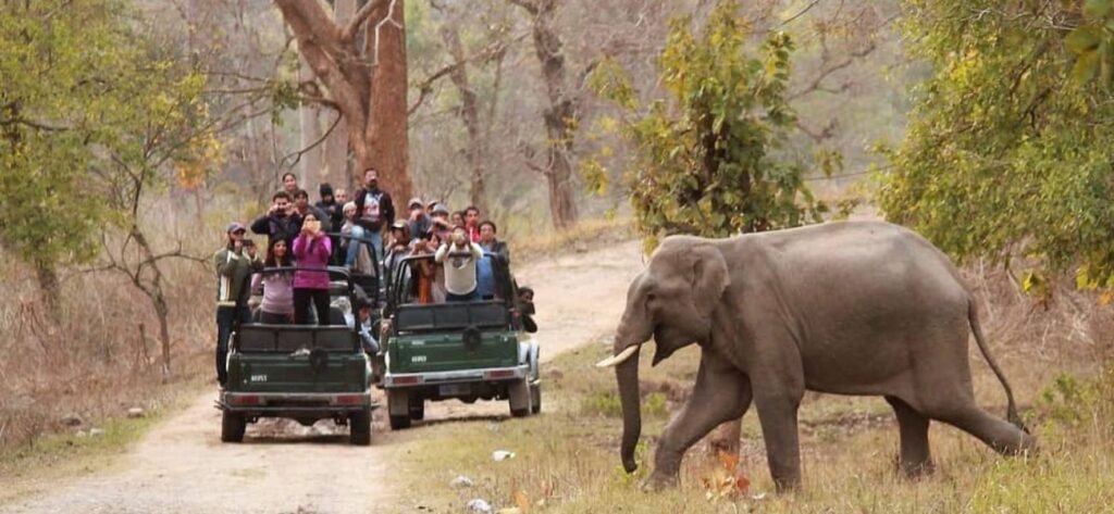 Rajaji National Park Tour