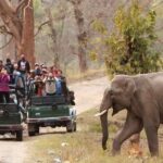 Rajaji National Park Tour